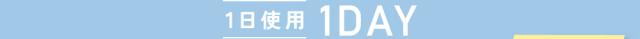 1日使用 1DAY