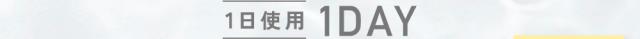 1日使用 1DAY