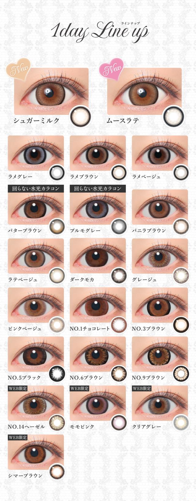 ワンデー ラインナップ