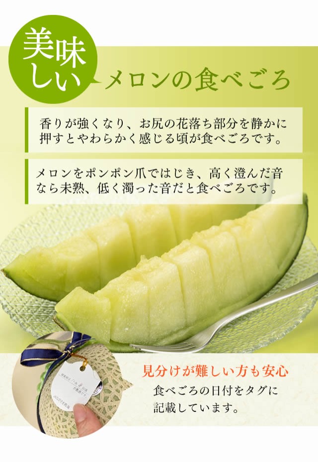 バーゲン お中元 ギフト フルーツ アールスメロン Sgz0 送料込み メロン 贈答用 高級 果物 御中元 お供え 贈り物 誕生日 プレゼント 在庫限り Www Sawtalkaneseh Com