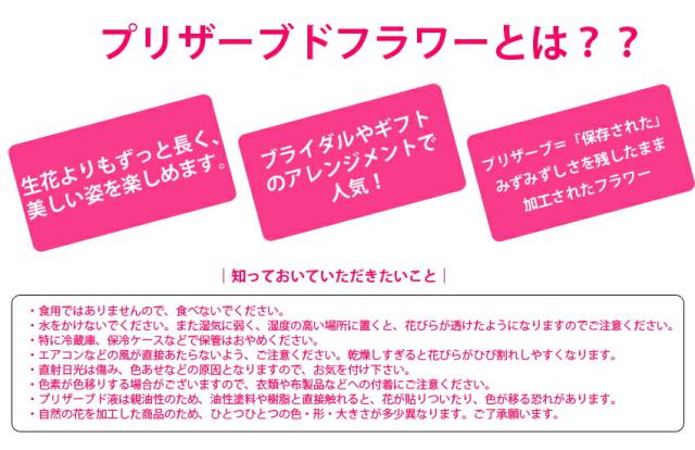 フラワーセット