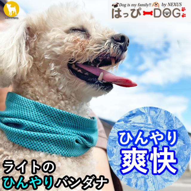 犬用クールネック　オーダーページ ICE RING SUO 犬用 ネッククーラー Lサイズ 2025モデル アイ