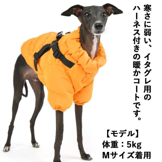 イタグレ 冬服 着せやすい アウター ジャケット はっぴーDOG イタグレ 冬服 犬 服 犬服 いぬ 犬の服 イタリアン