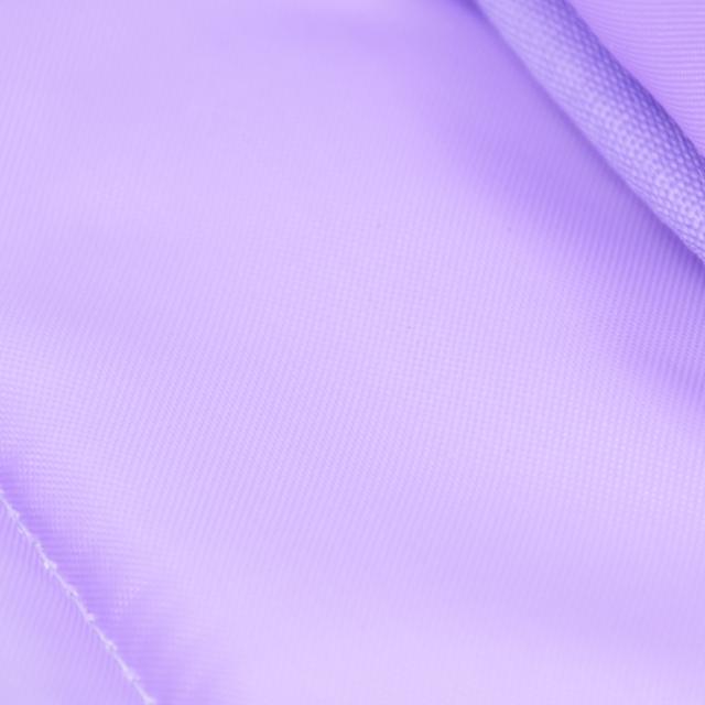 スヌーピーパスケース