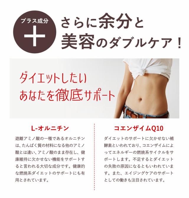 αリポ酸 3ヶ月分 ダイエットサプリ オルニチン ビタミンC コエンザイムQ10