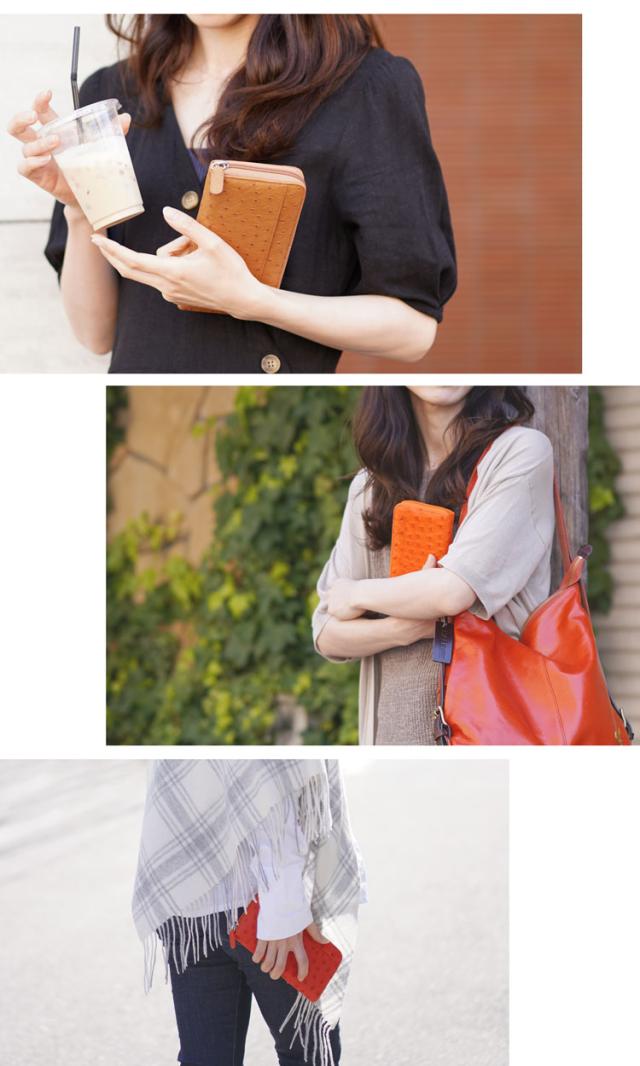 鮮やかなカラーで気分があがるレディース財布