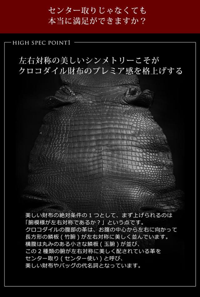 センター取りのクロコダイル