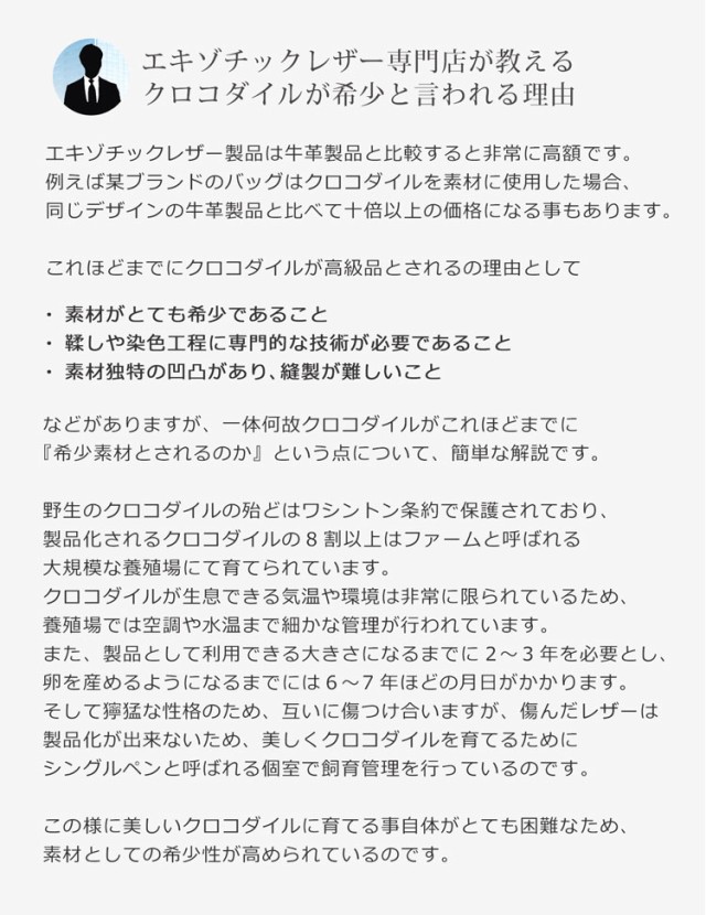 クロコダイル ワンショルダーバッグ  マット加工 高級品 最終価格