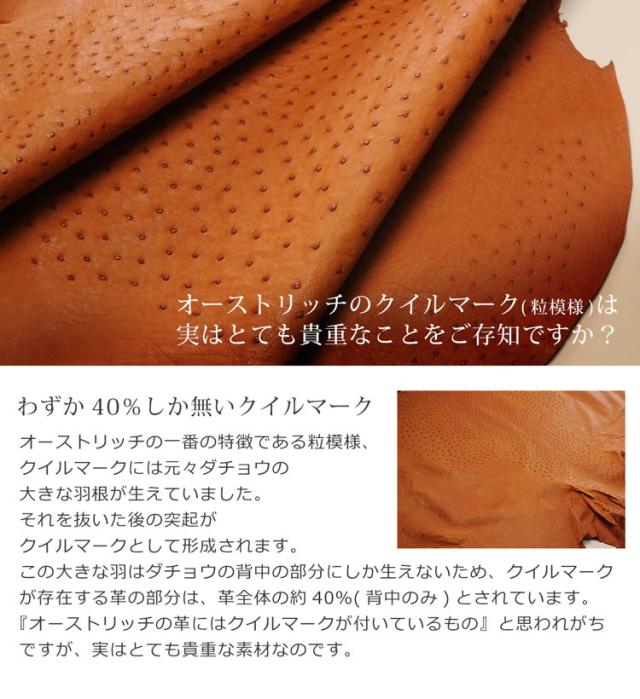 オーストリッチ Wファスナー メンズ セカンドバッグ