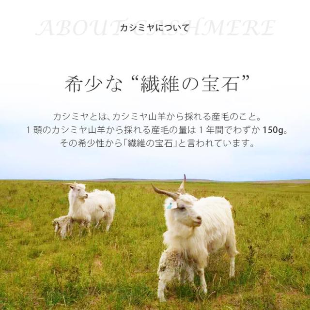 カシミヤ ストール カシミア 繊維の宝石