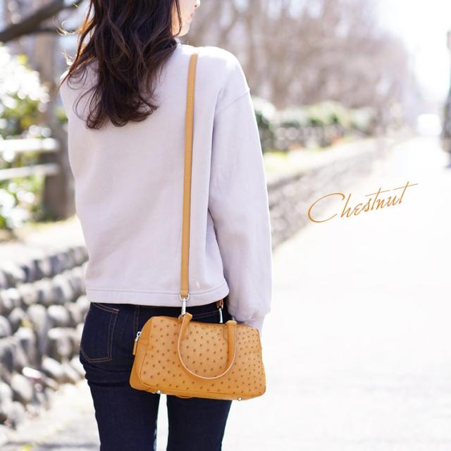 オーストリッチ 2WAY バッグ