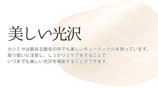 カシミヤ 光沢が美しい 理由