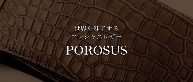 高級素材 スモールクロコダイル ポロサス 革