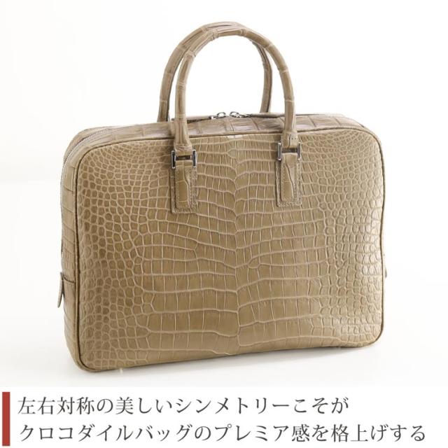 左右対称のクロコダイル