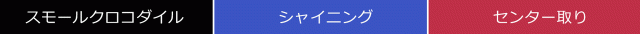 スモールクロコダイルハンドバッグ
