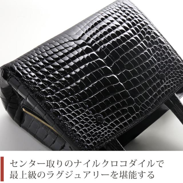 センター取りのナイルクロコダイル