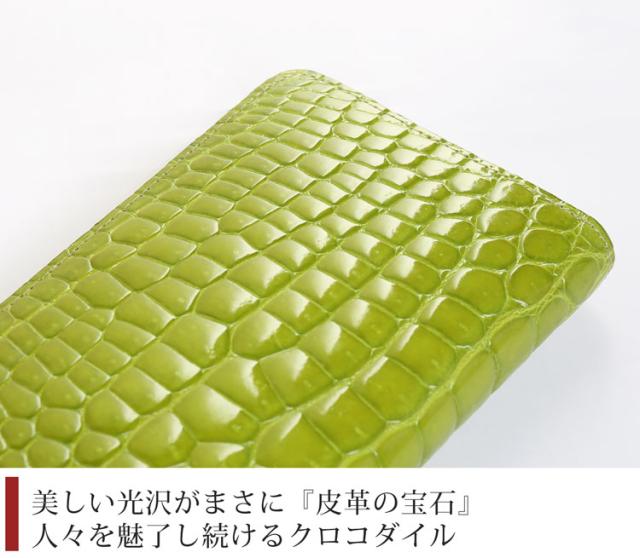 シャイニング クロコダイル