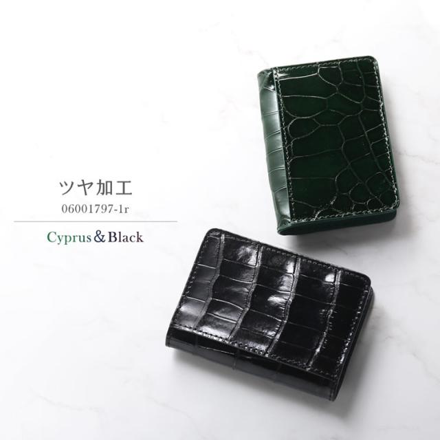 クロコダイル 小銭入れ ボックス型 ハイシャイニング