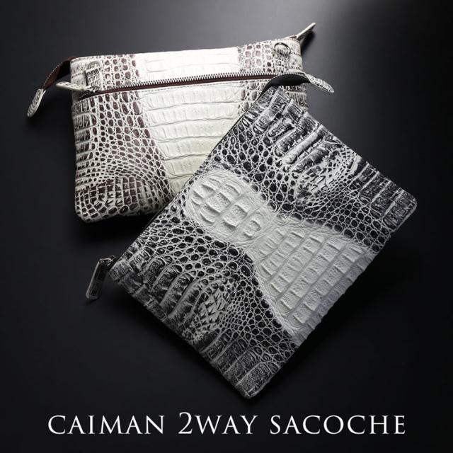 スモール クロコダイル ポロサス シャイニング 加工 センター取り 2way ハンドバッグ