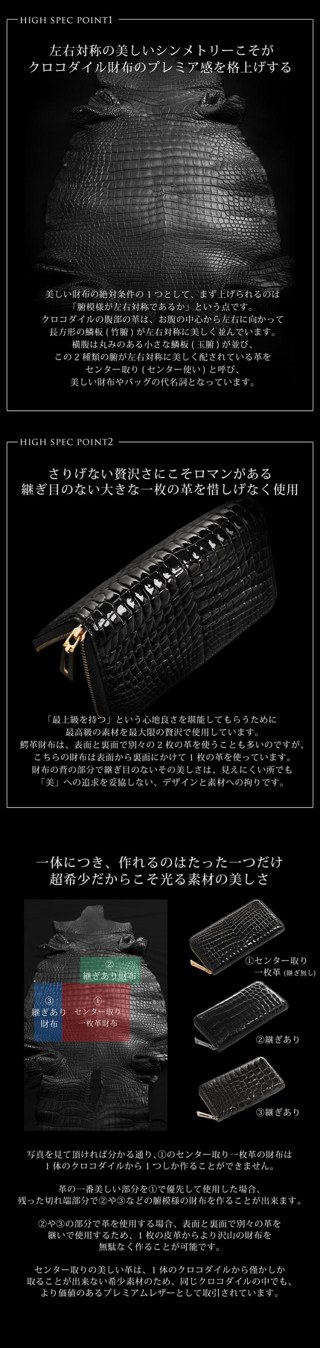 左右対称のナイルクロコダイル