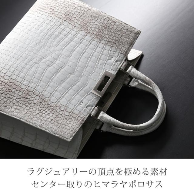 ヒマラヤポロサスをセンター取りで使用