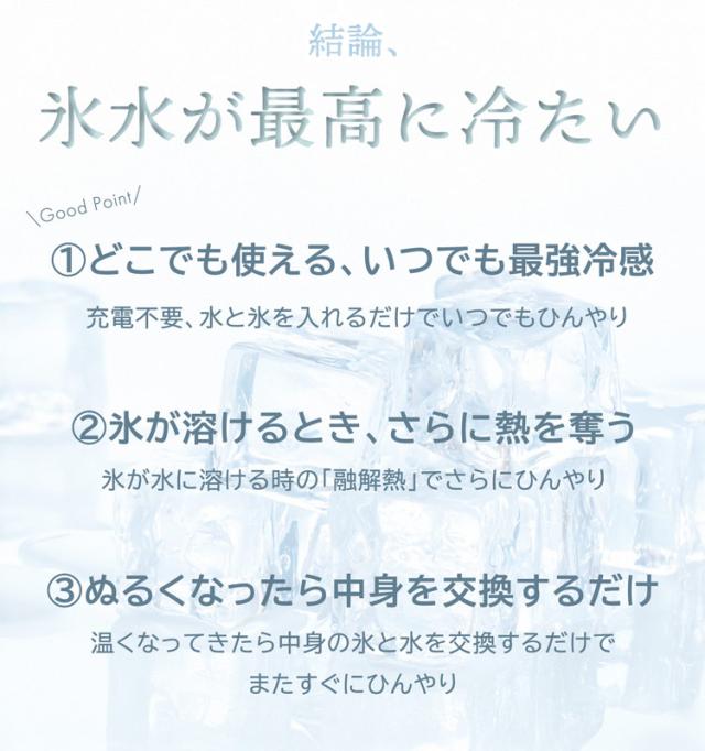 氷のう 氷嚢 首 冷やす スポーツ 観戦 野球 サッカー 熱中症対策