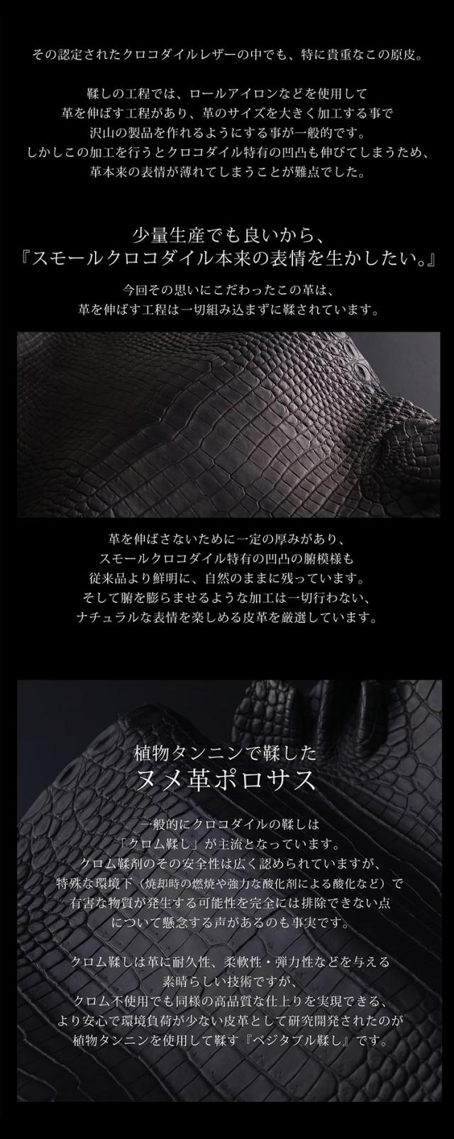 スモールクロコダイルチェーンミニボストンバッグ