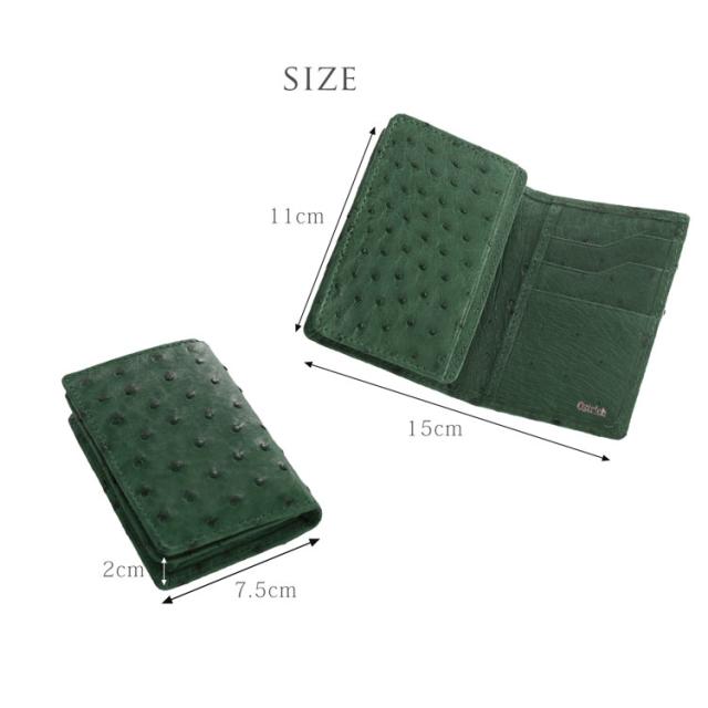 オーストリッチ 名刺入れ カード入れ メンズ 仕事 名刺