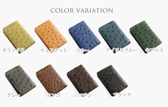 オーストリッチ 名刺入れ カード入れ メンズ 仕事 名刺