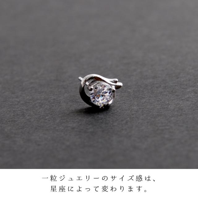 耳元に夜空を彩る。十二星座ピアス