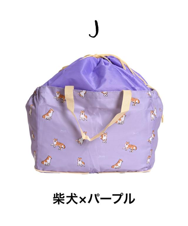 保冷保温レジカゴバッグ