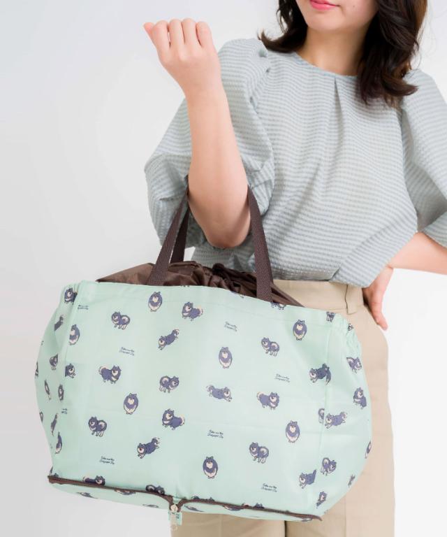 保冷保温レジカゴバッグ