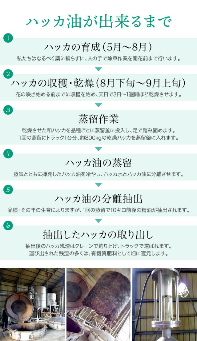 スーッと甘く香る爽やかさ。和ハッカ油