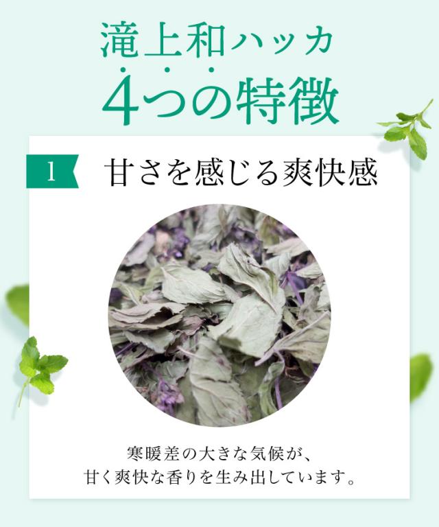 スーッと甘く香る爽やかさ。和ハッカ油