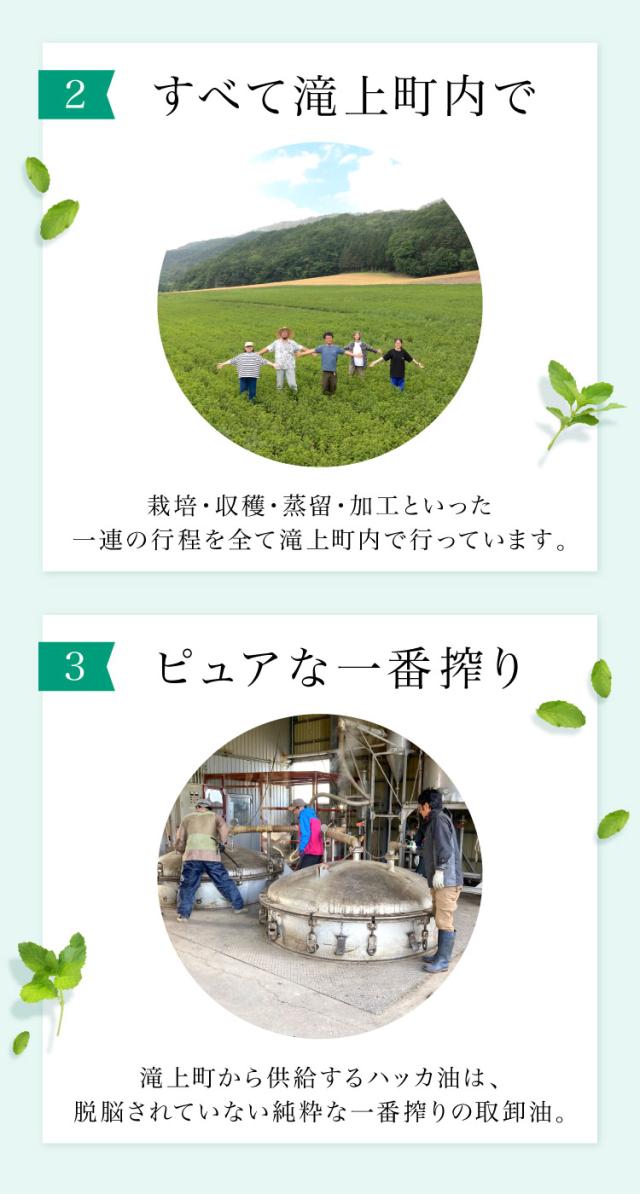 スーッと甘く香る爽やかさ。和ハッカ油