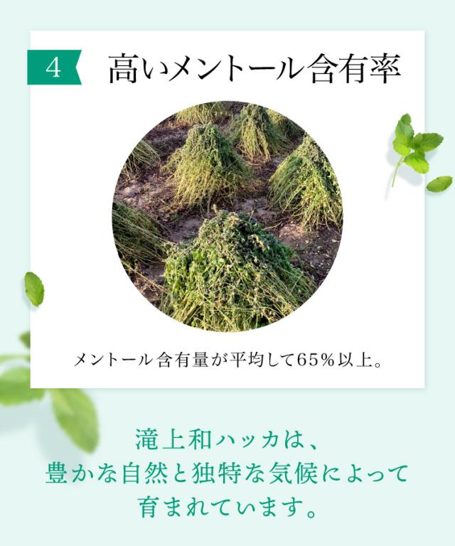 スーッと甘く香る爽やかさ。和ハッカ油