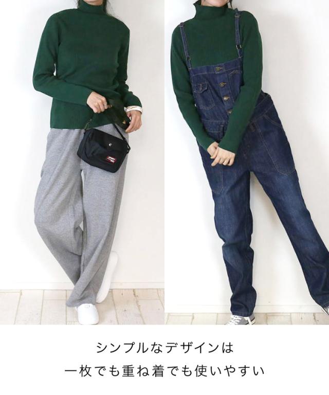 タートルネックリブニット