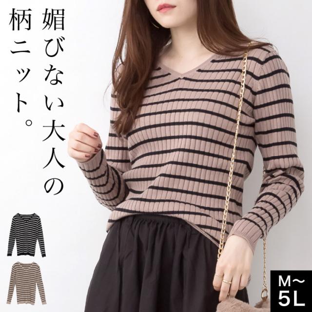 ボーダーVネックリブニット