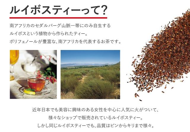 南アフリカのセダルバーグ山脈一帯にのみ自生するルイボス。ポリフェノールが豊富な、南アフリカを代表するお茶です。