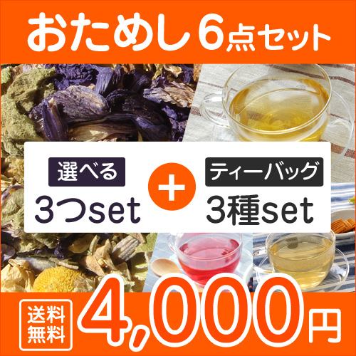 おためし6点セット