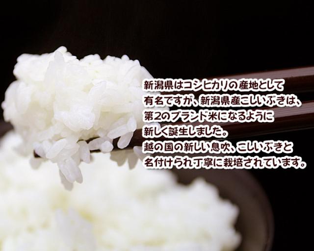 新潟産こしいぶき