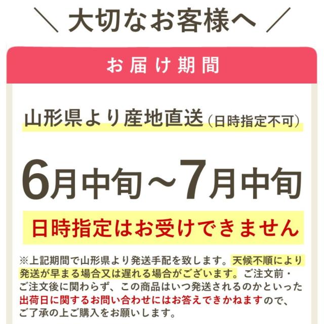 山形さくらんぼ