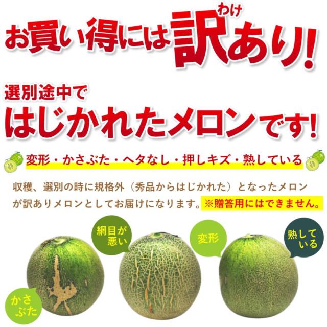 山形メロン