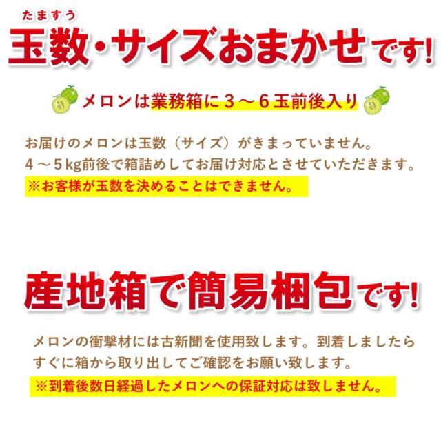 山形メロン