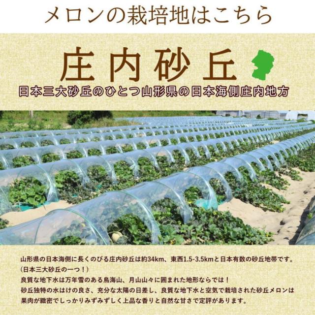 山形メロン