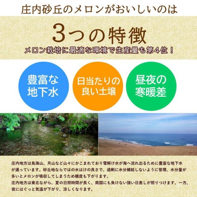 山形メロン