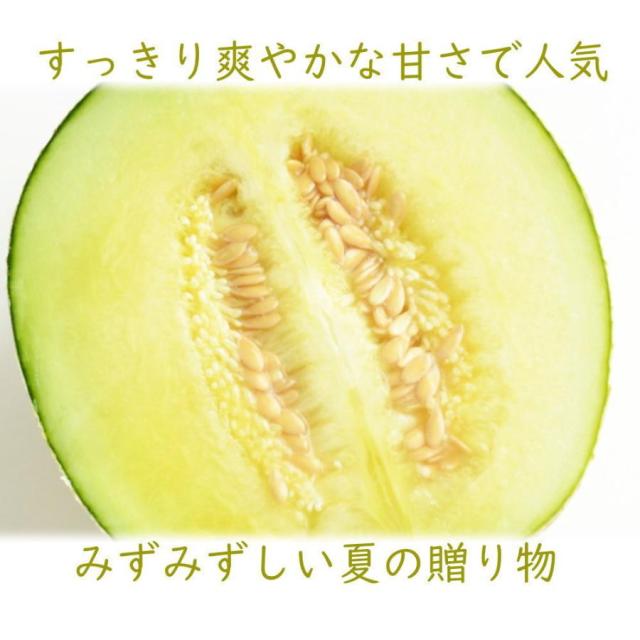 山形メロン