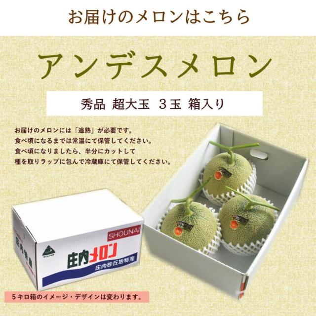 山形メロン