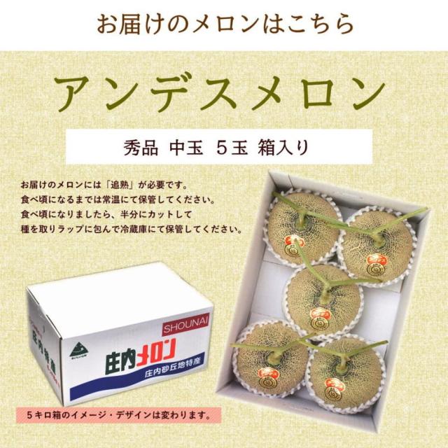 山形メロン