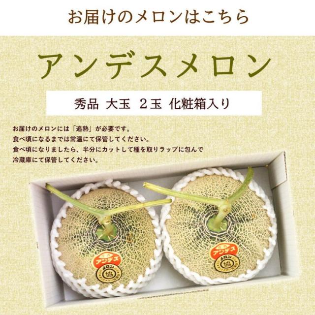 山形メロン